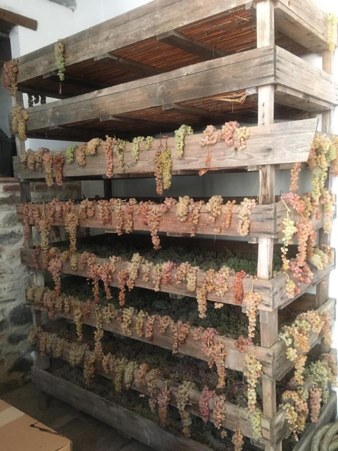 La Villa Romantica Ciggiano Eksteriør billede